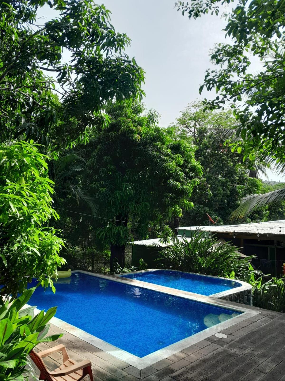 Appartement Hammock Plantation à El Zonte Extérieur photo