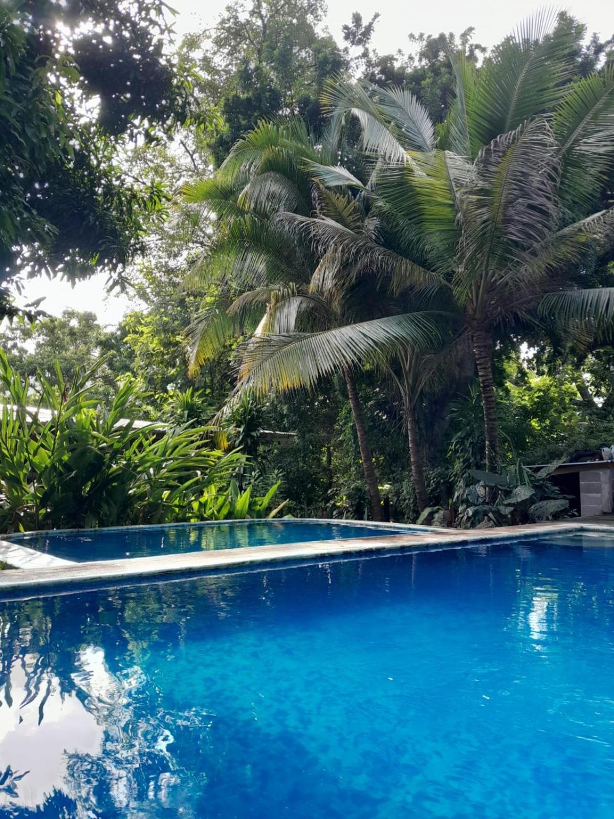 Appartement Hammock Plantation à El Zonte Extérieur photo